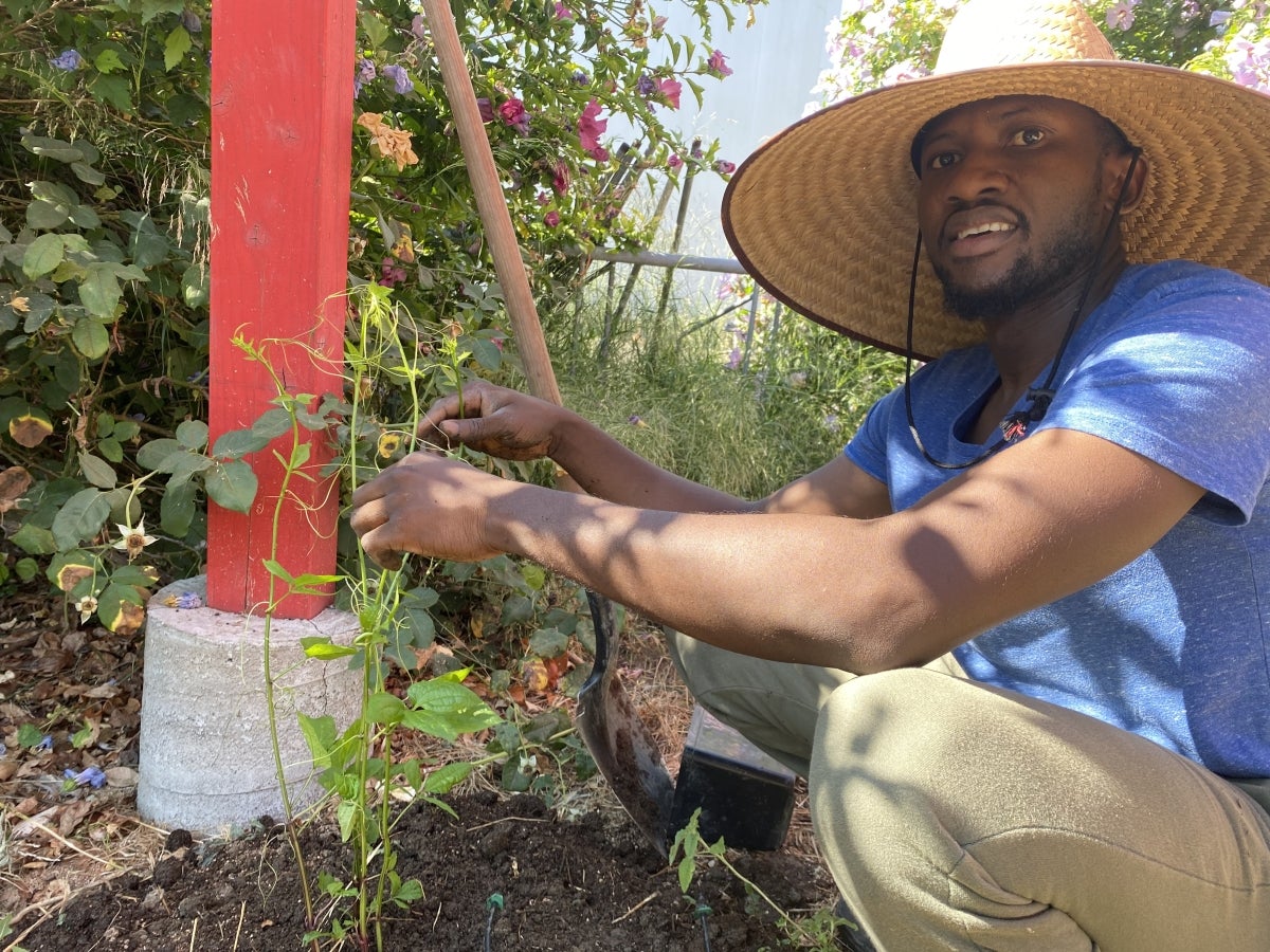Emmanuel Momah (PhD student) wins the UC Davis Green Fellowship to start the African Food Basket Project